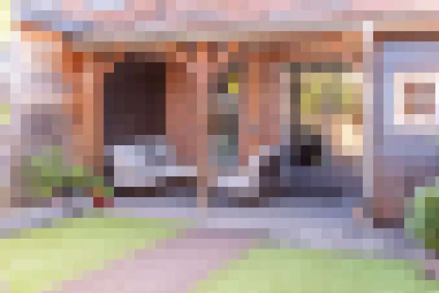 Johannes Vermeerstraat 5 Kesteren thumbnail 47
