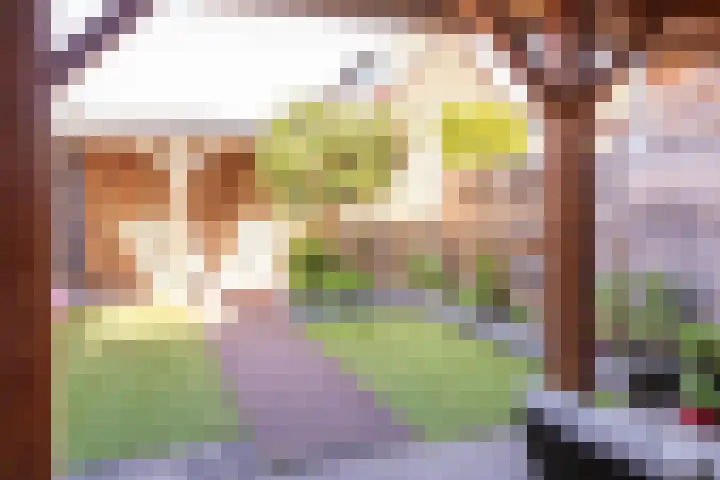 Johannes Vermeerstraat 5 Kesteren thumbnail 48