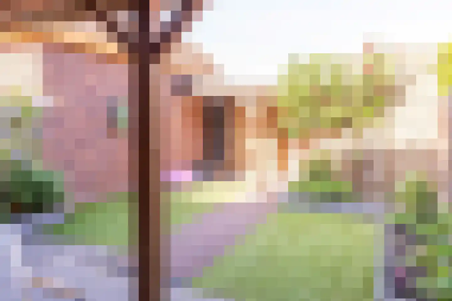 Johannes Vermeerstraat 5 Kesteren thumbnail 49