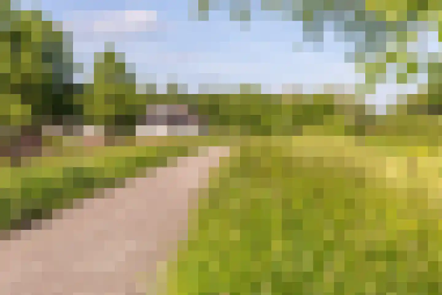 Johannes Vermeerstraat 5 Kesteren thumbnail 56