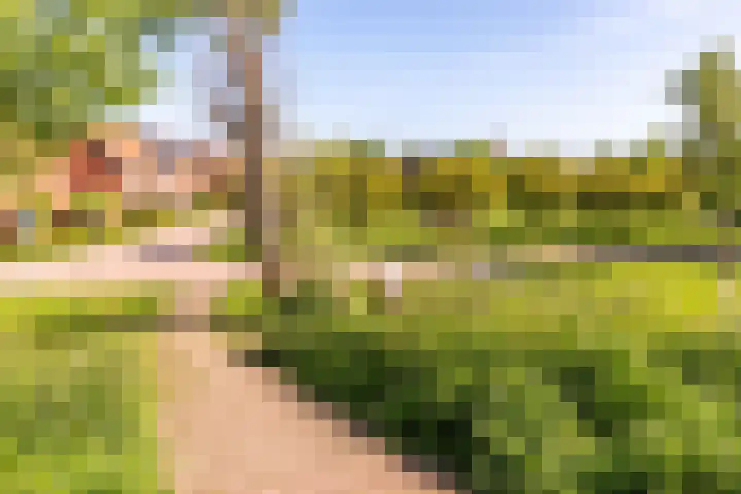 Johannes Vermeerstraat 5 Kesteren thumbnail 57