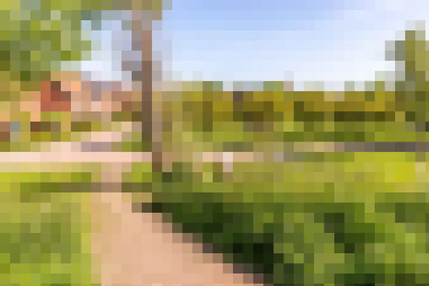 Johannes Vermeerstraat 5 Kesteren thumbnail 57