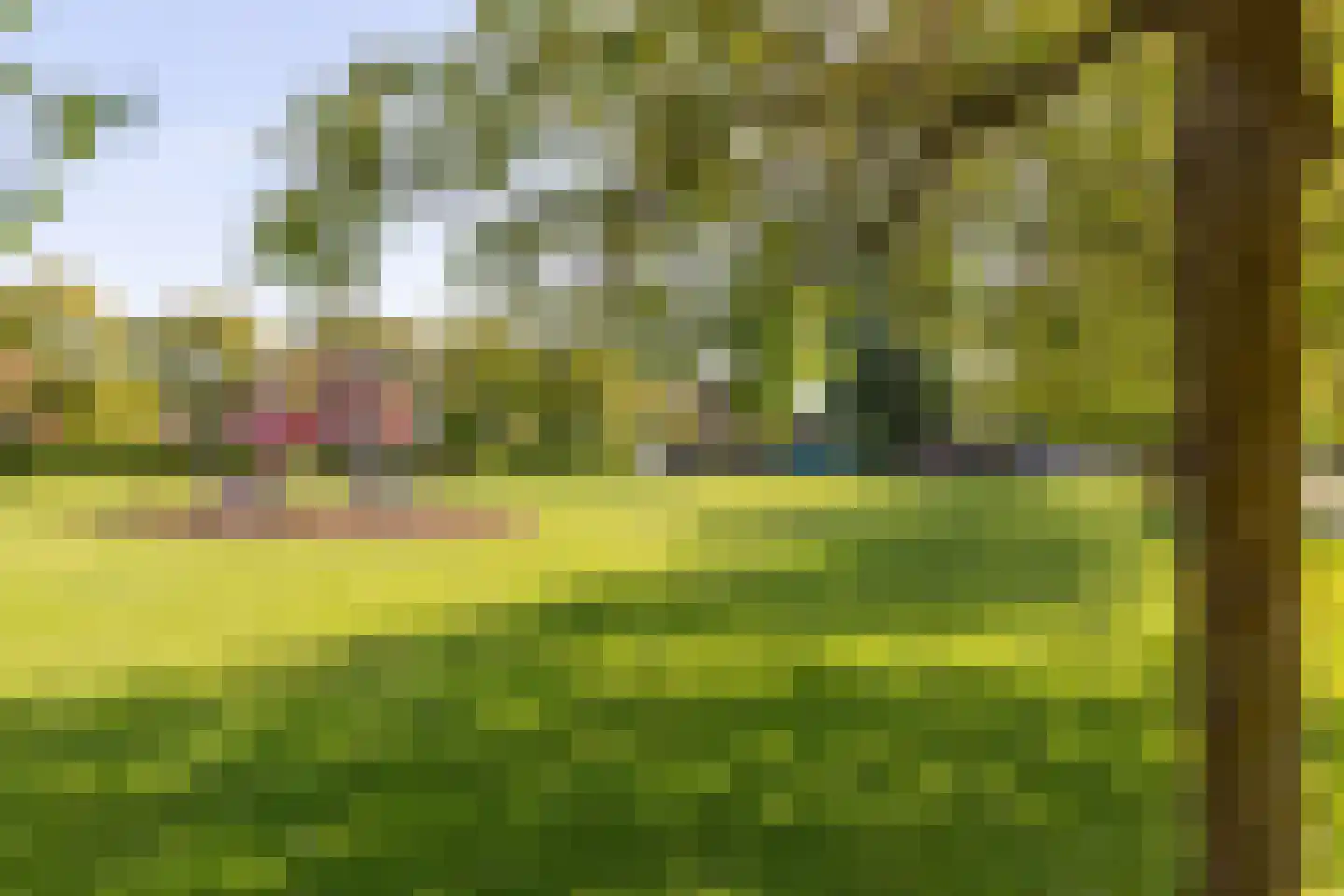 Johannes Vermeerstraat 5 Kesteren thumbnail 6