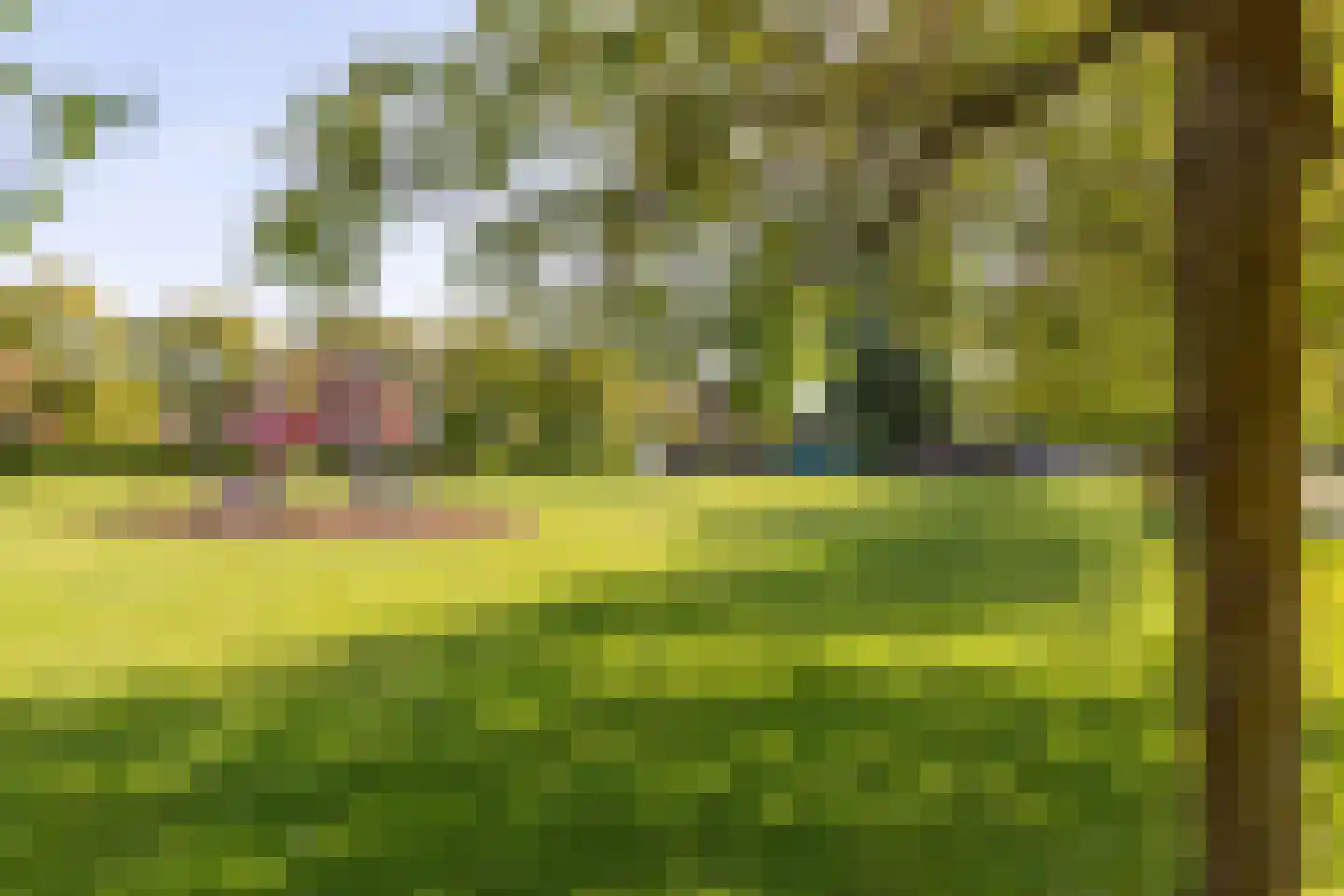Johannes Vermeerstraat 5 Kesteren thumbnail 6