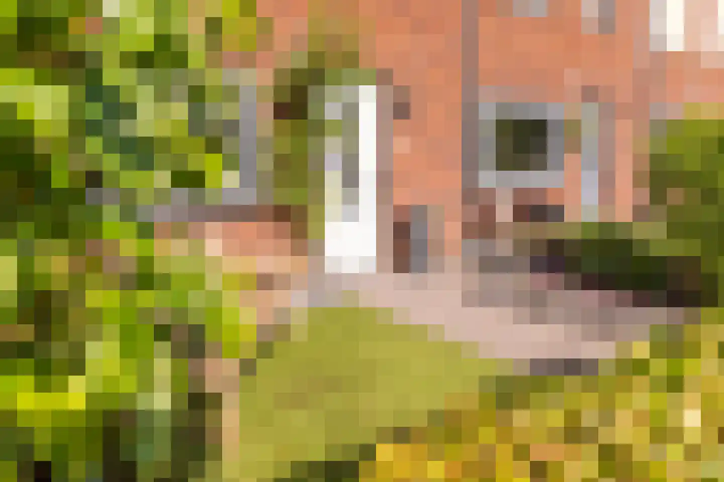 Johannes Vermeerstraat 5 Kesteren thumbnail 63