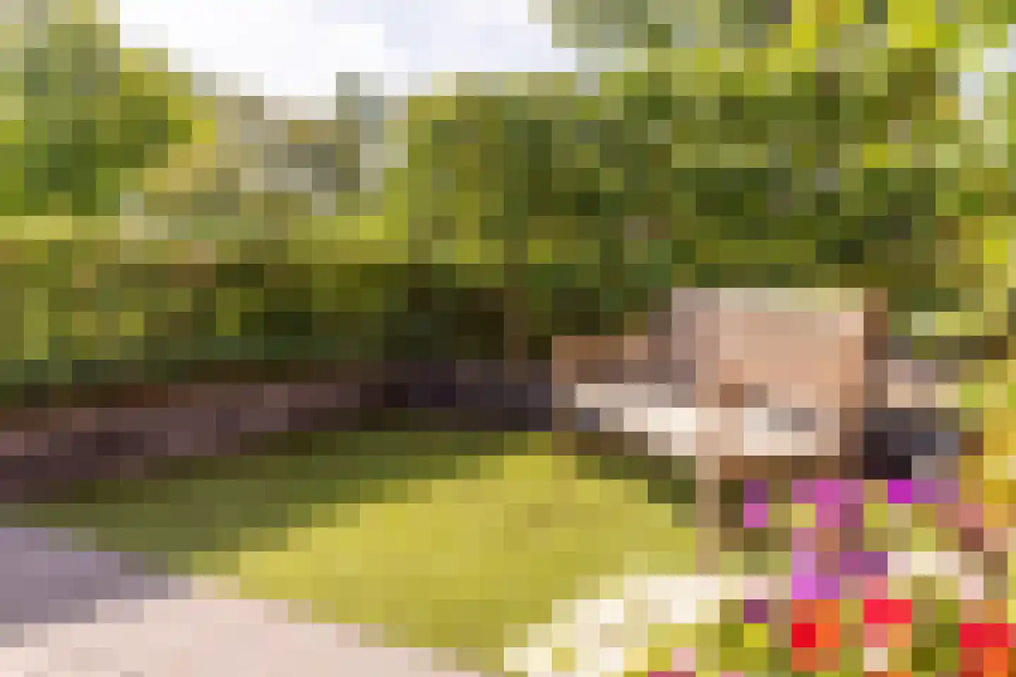 Johannes Vermeerstraat 5 Kesteren thumbnail 64