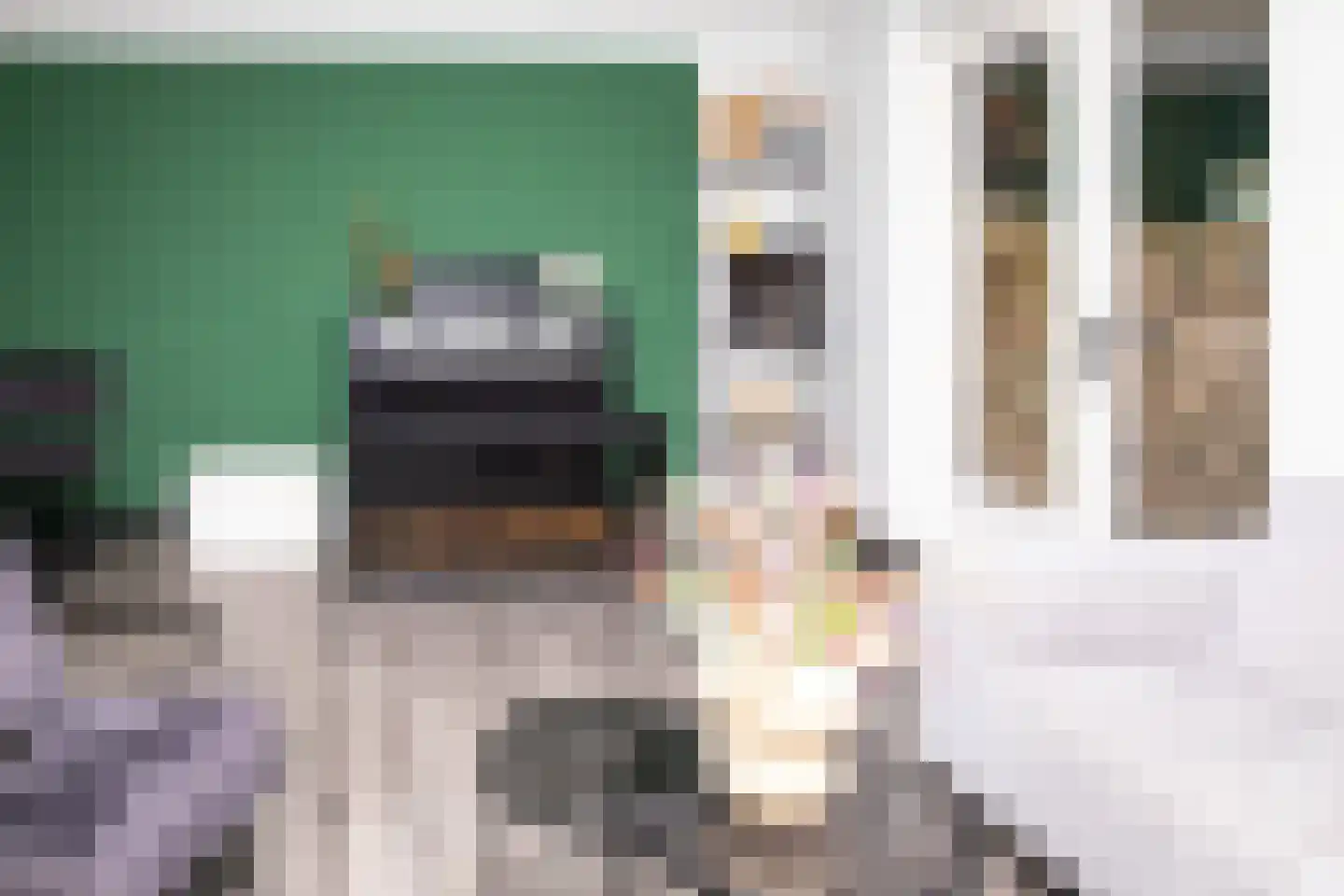 Johannes Vermeerstraat 5 Kesteren thumbnail 68