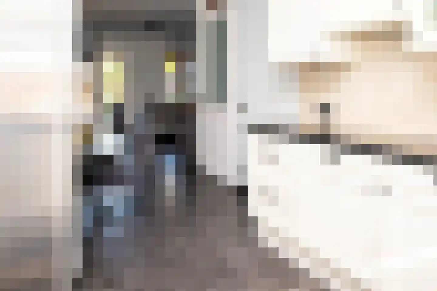 Johannes Vermeerstraat 5 Kesteren thumbnail 69