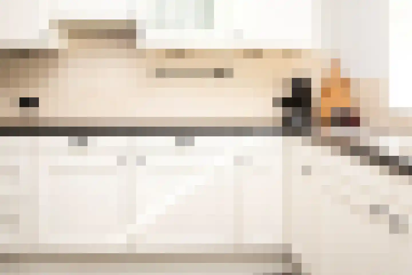 Johannes Vermeerstraat 5 Kesteren thumbnail 70