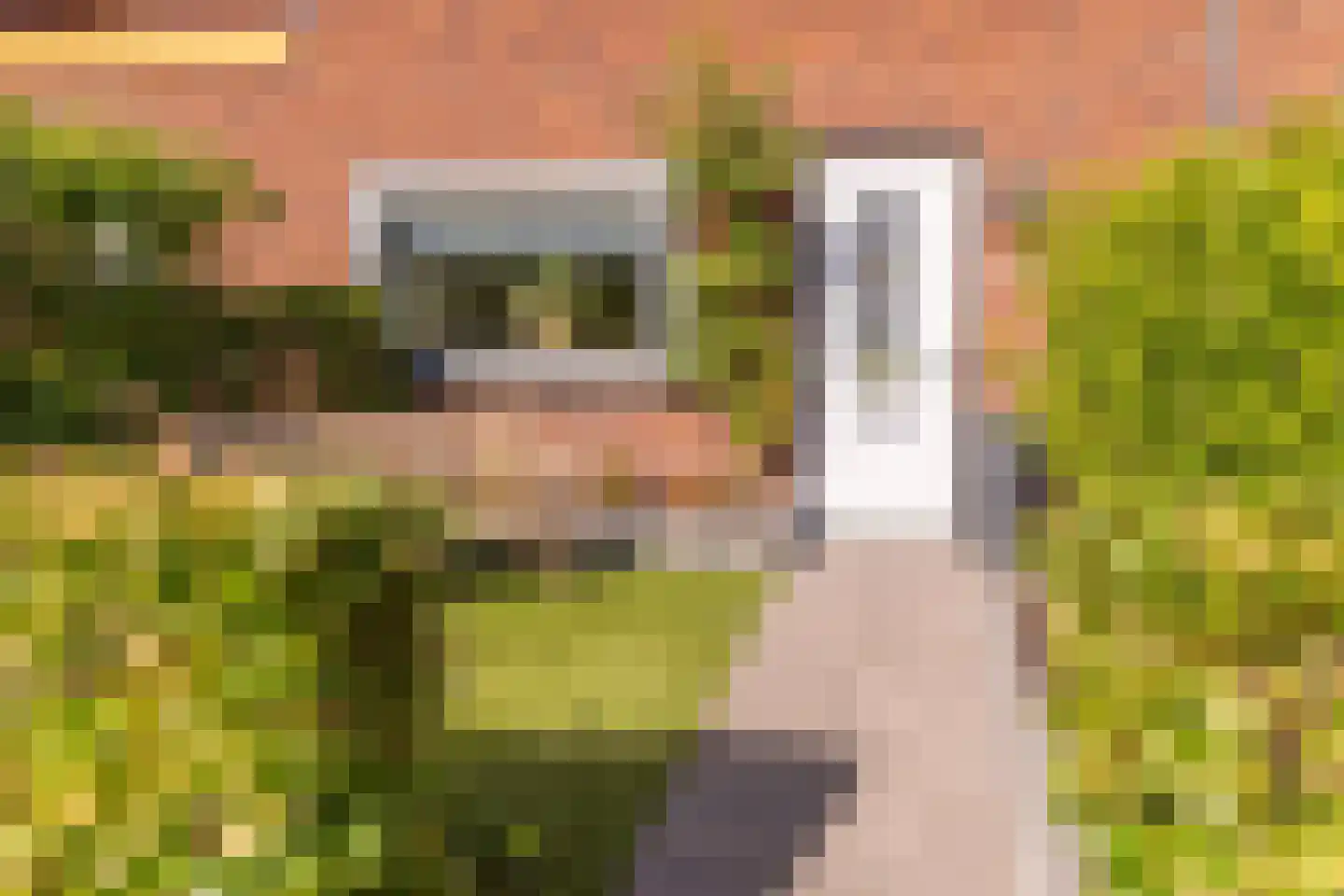 Johannes Vermeerstraat 5 Kesteren thumbnail 8