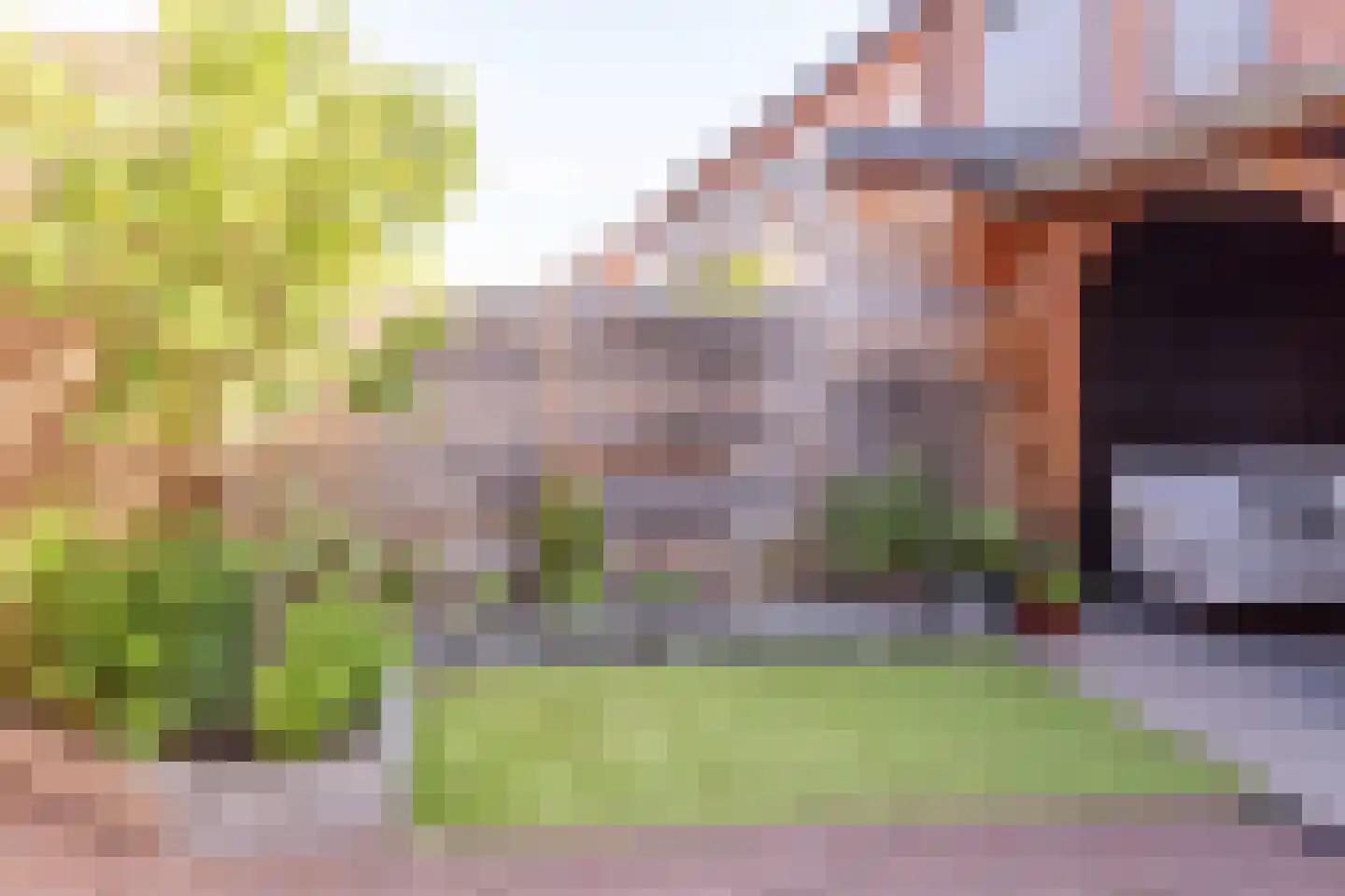 Johannes Vermeerstraat 5 Kesteren thumbnail 85