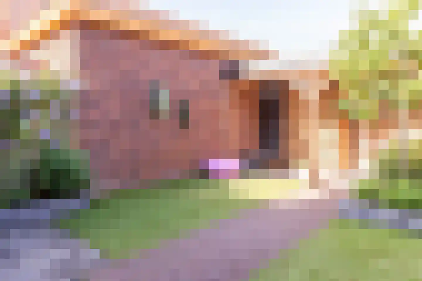 Johannes Vermeerstraat 5 Kesteren thumbnail 86