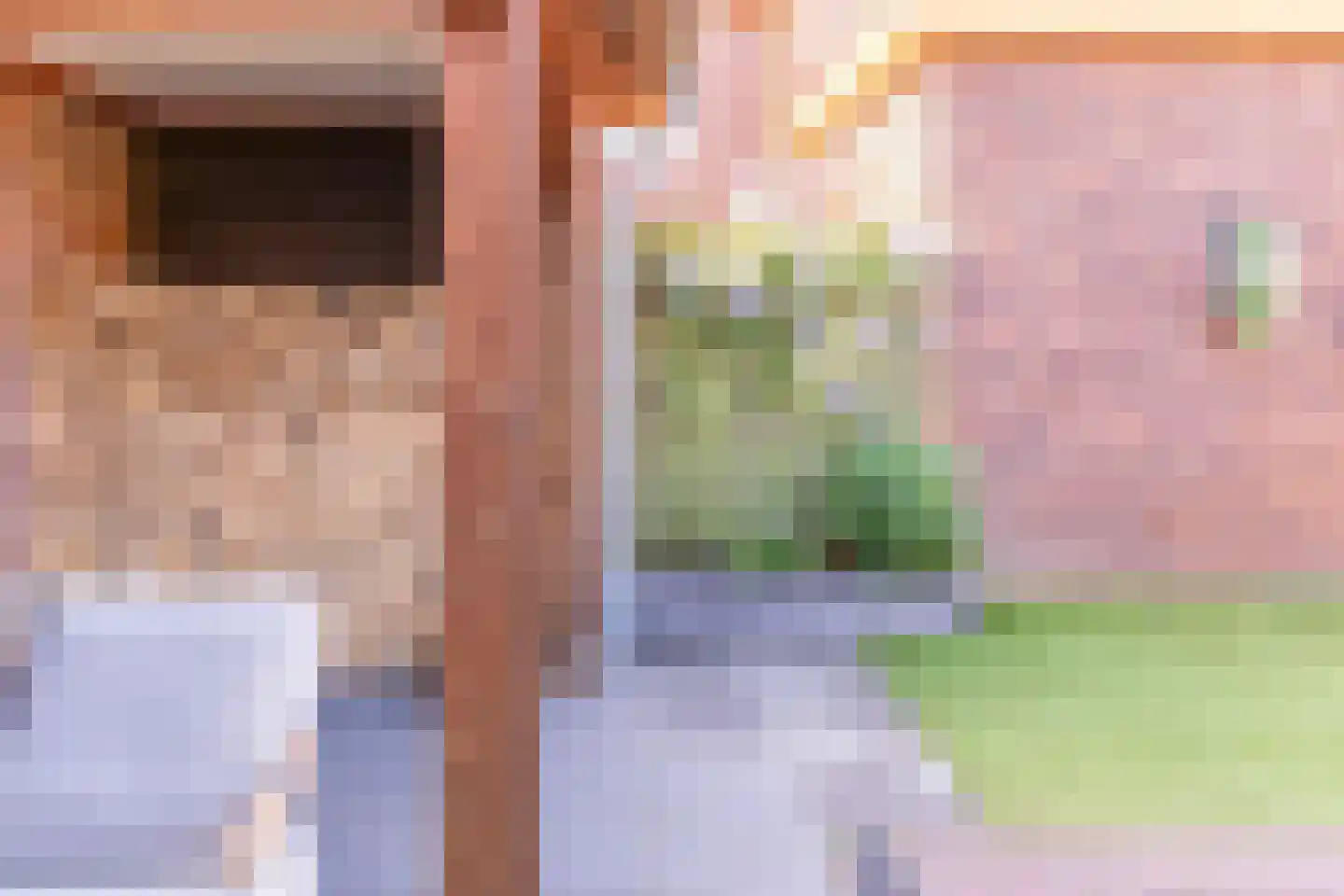 Johannes Vermeerstraat 5 Kesteren thumbnail 87