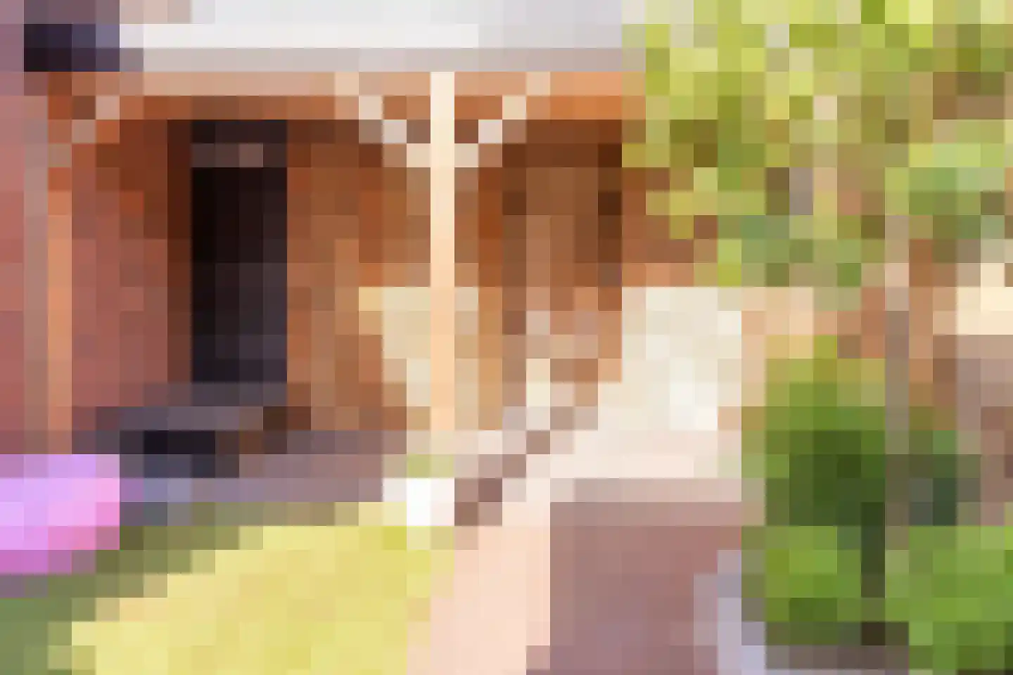 Johannes Vermeerstraat 5 Kesteren thumbnail 88