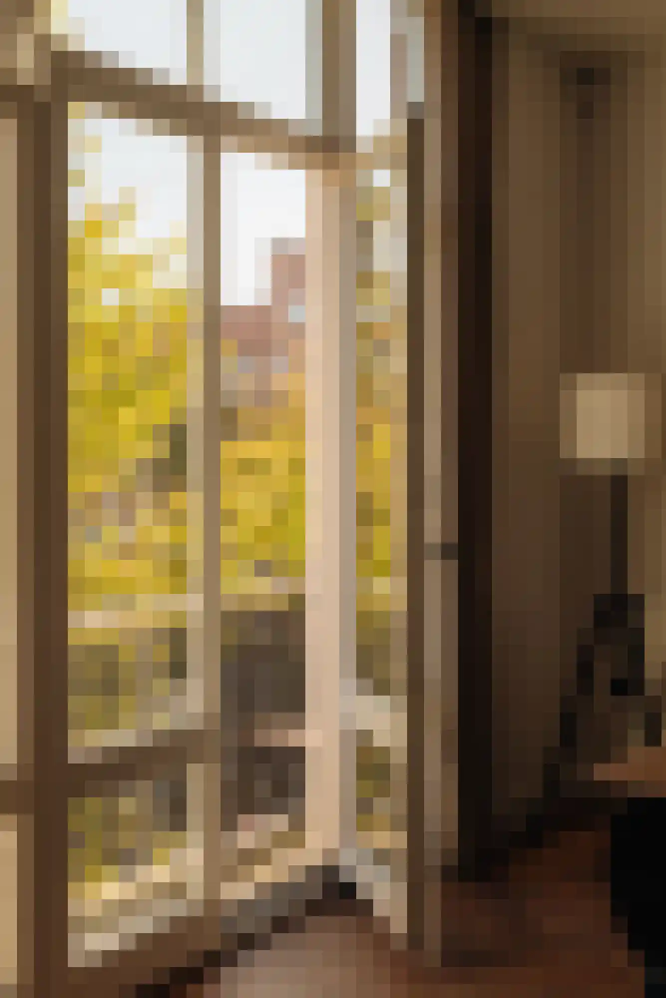Johannes Vermeerstraat 50 2 Amsterdam thumbnail 11