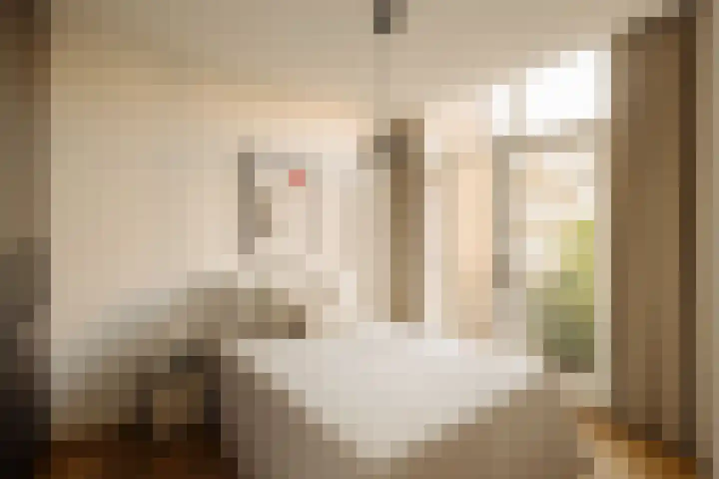 Johannes Vermeerstraat 50 2 Amsterdam thumbnail 17