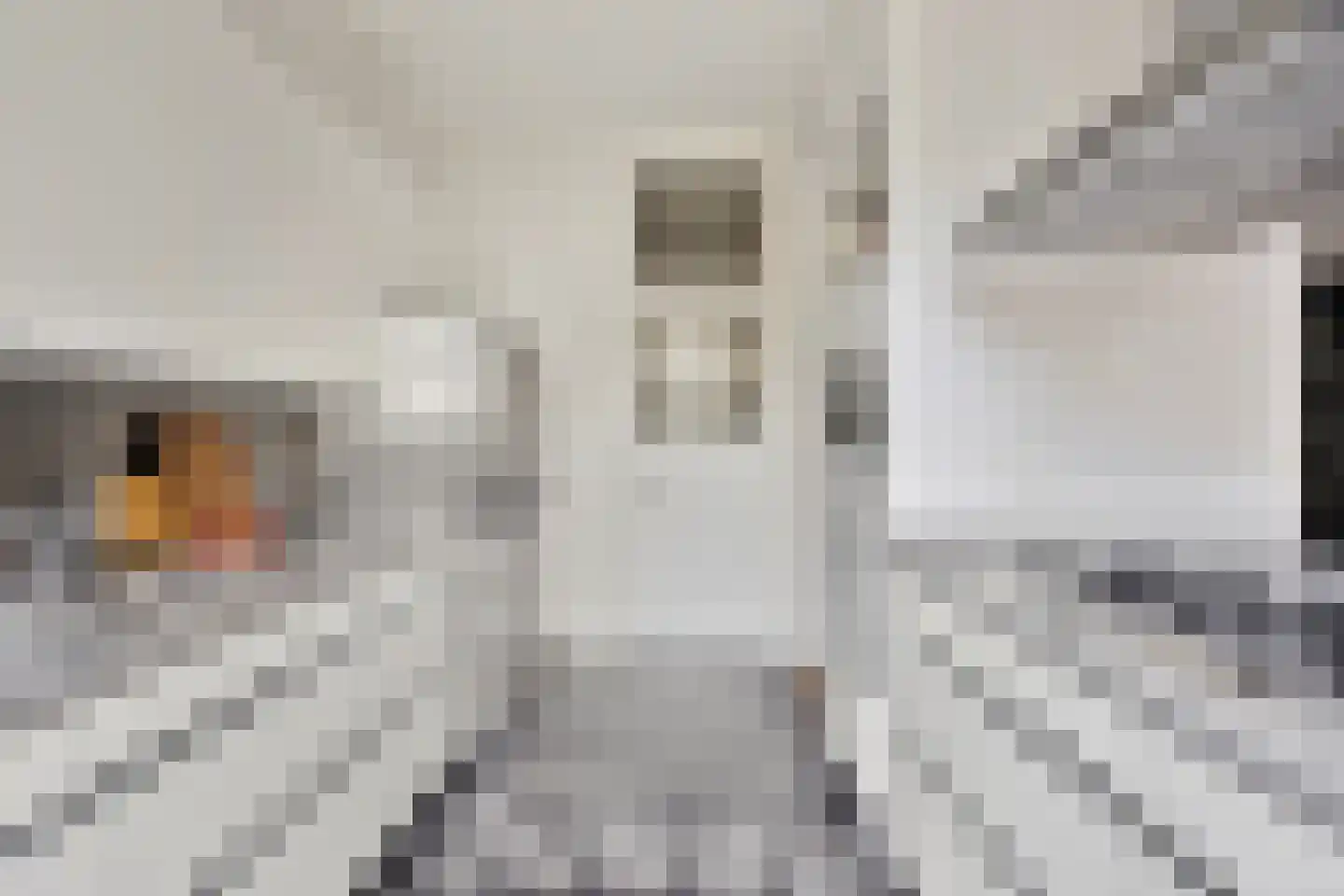 Johannes Vermeerstraat 50 H Amsterdam thumbnail 13