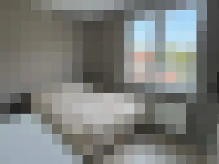 Johannes Vermeerstraat 55 Coevorden thumbnail 14