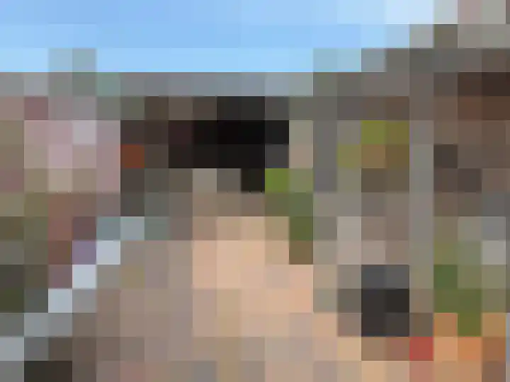 Johannes Vermeerstraat 55 Coevorden thumbnail 4