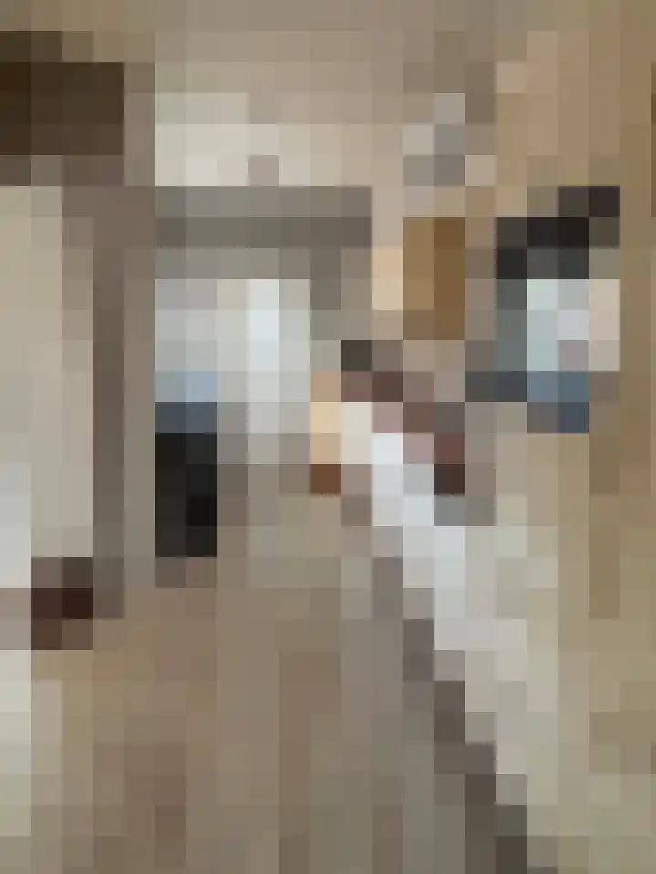 Johannes Vermeerstraat 55 Coevorden thumbnail 8