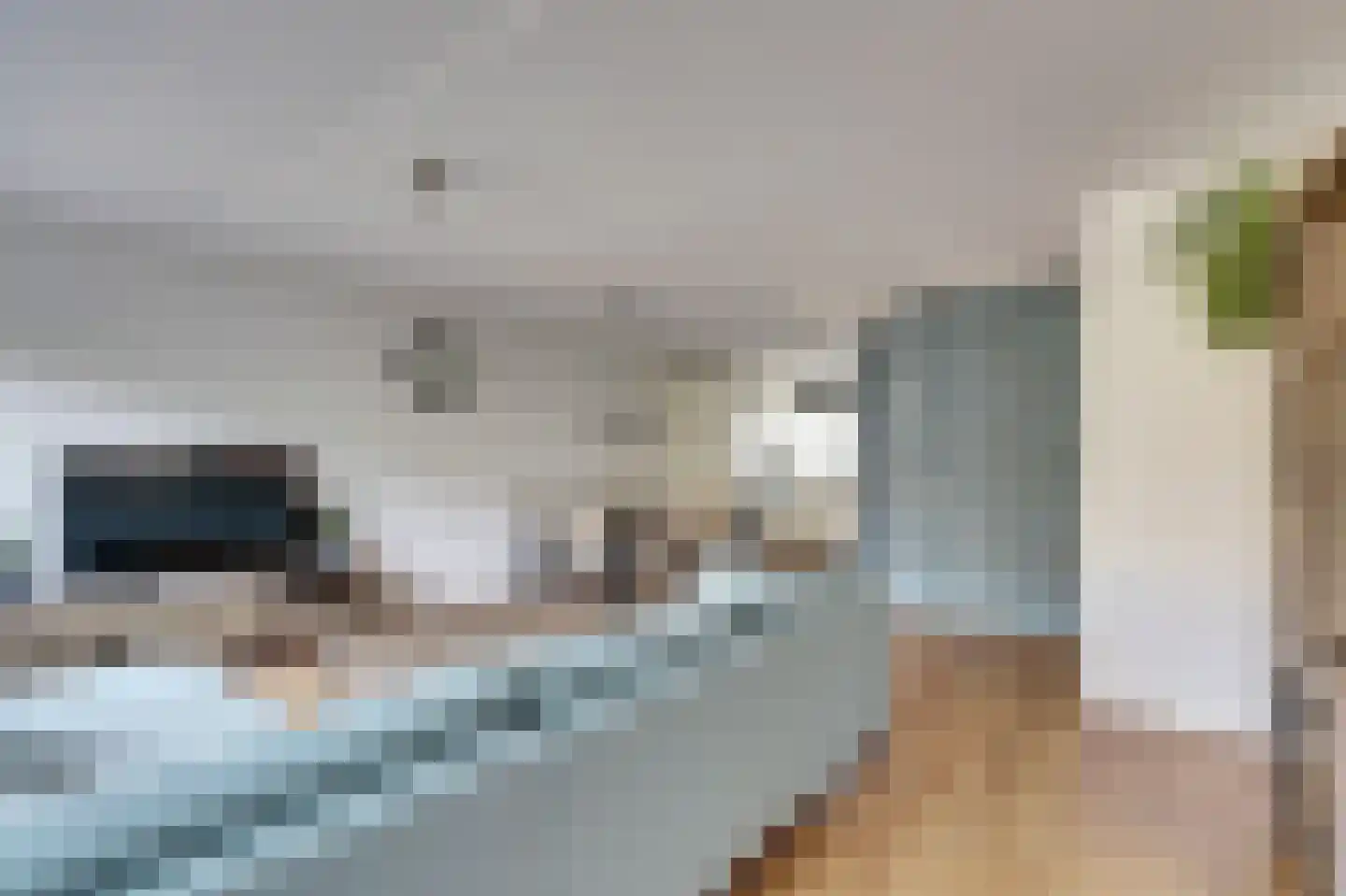 Johannes Vermeerstraat 58 Monster thumbnail 12