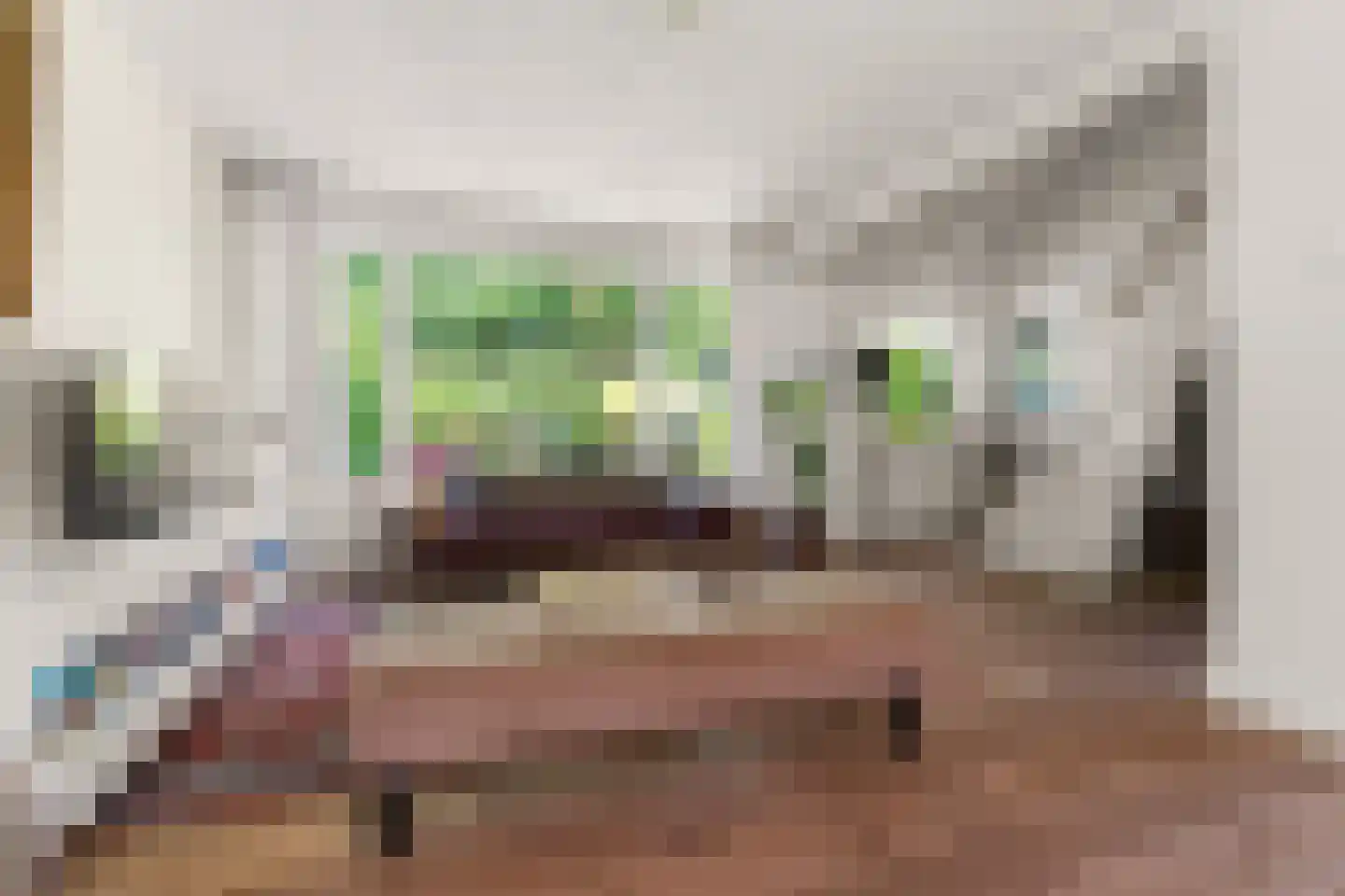 Johannes Vermeerstraat 6 Bergen L thumbnail 11