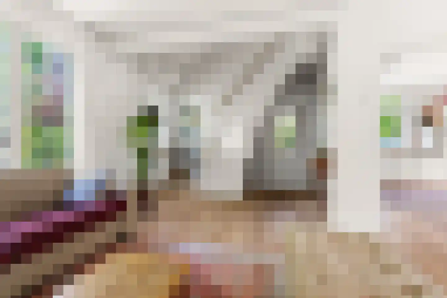 Johannes Vermeerstraat 6 Bergen L thumbnail 12