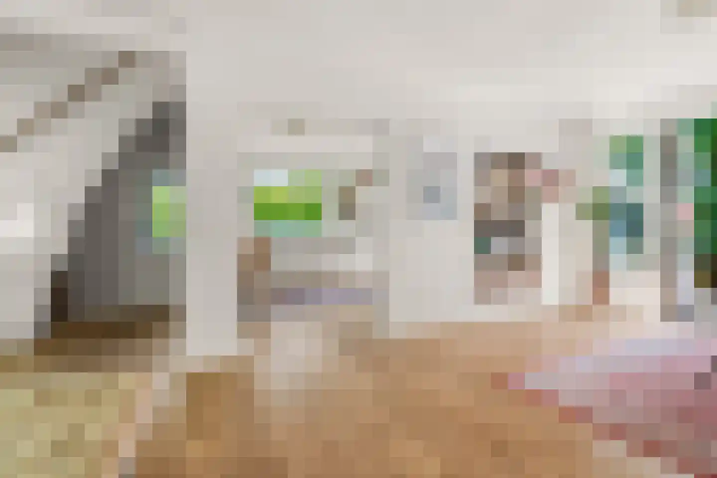 Johannes Vermeerstraat 6 Bergen L thumbnail 13