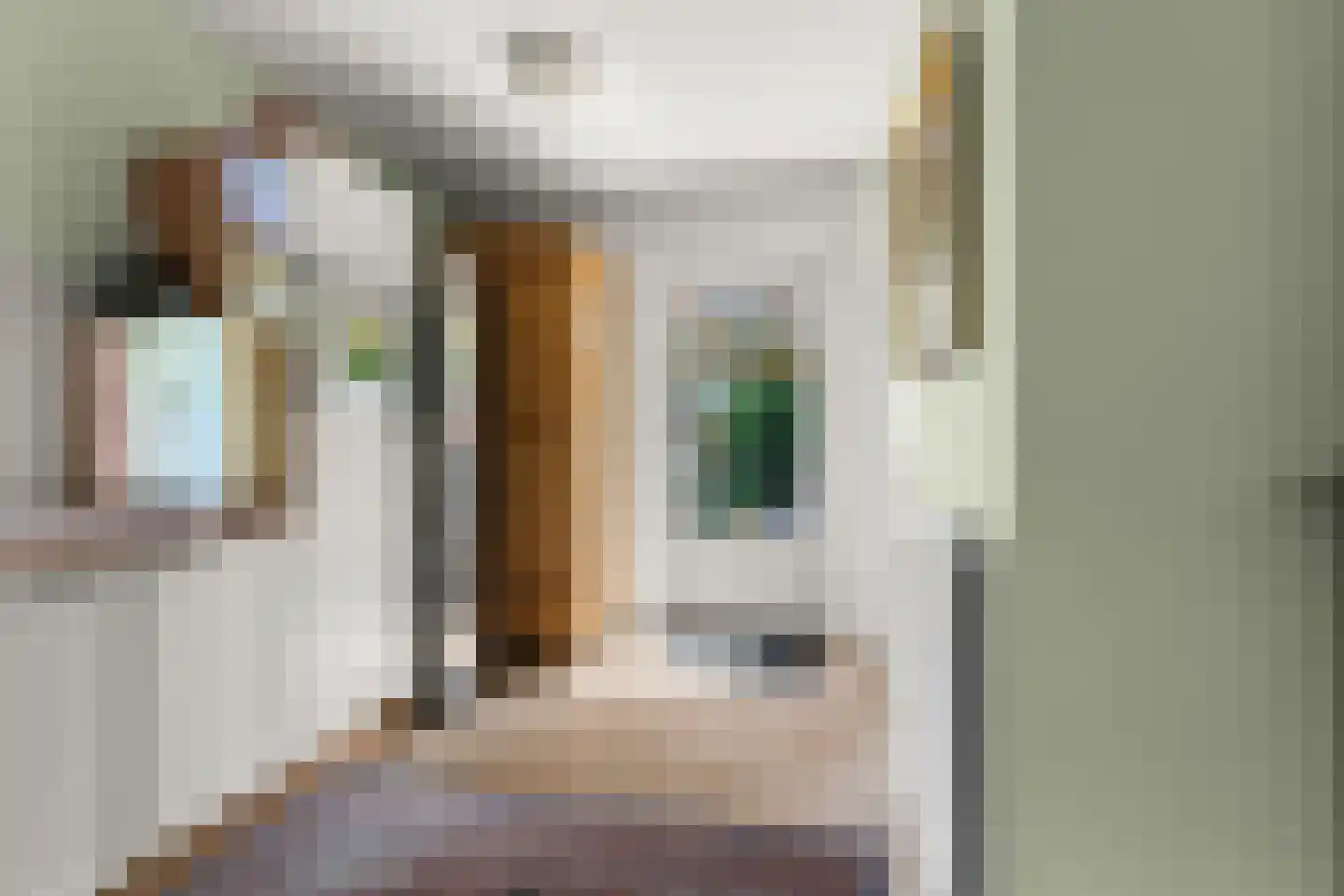 Johannes Vermeerstraat 6 Bergen L thumbnail 17