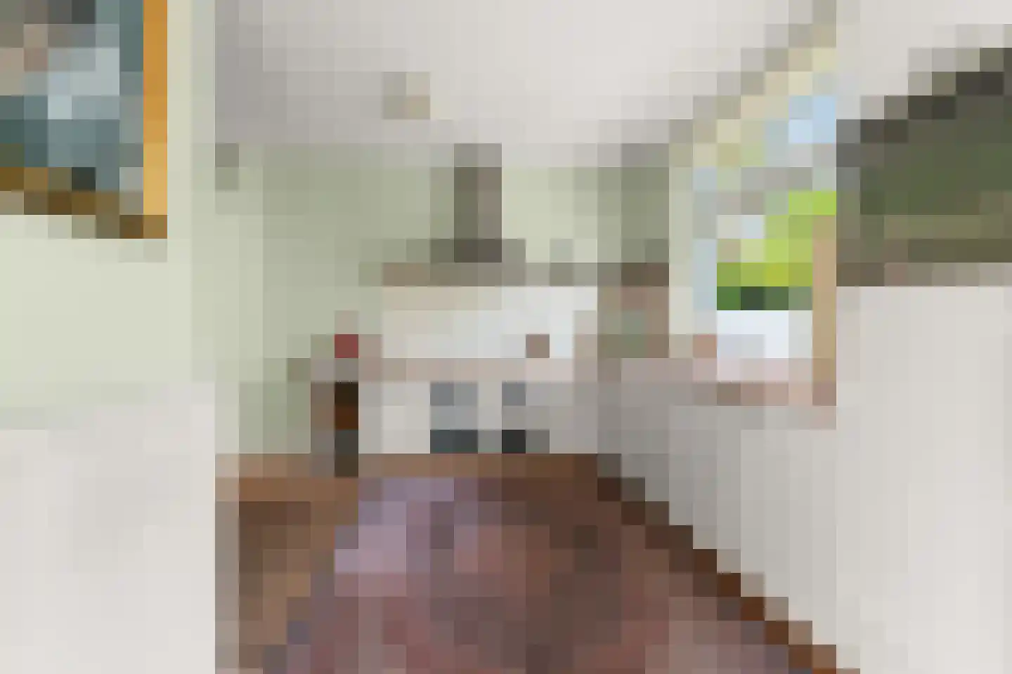 Johannes Vermeerstraat 6 Bergen L thumbnail 18