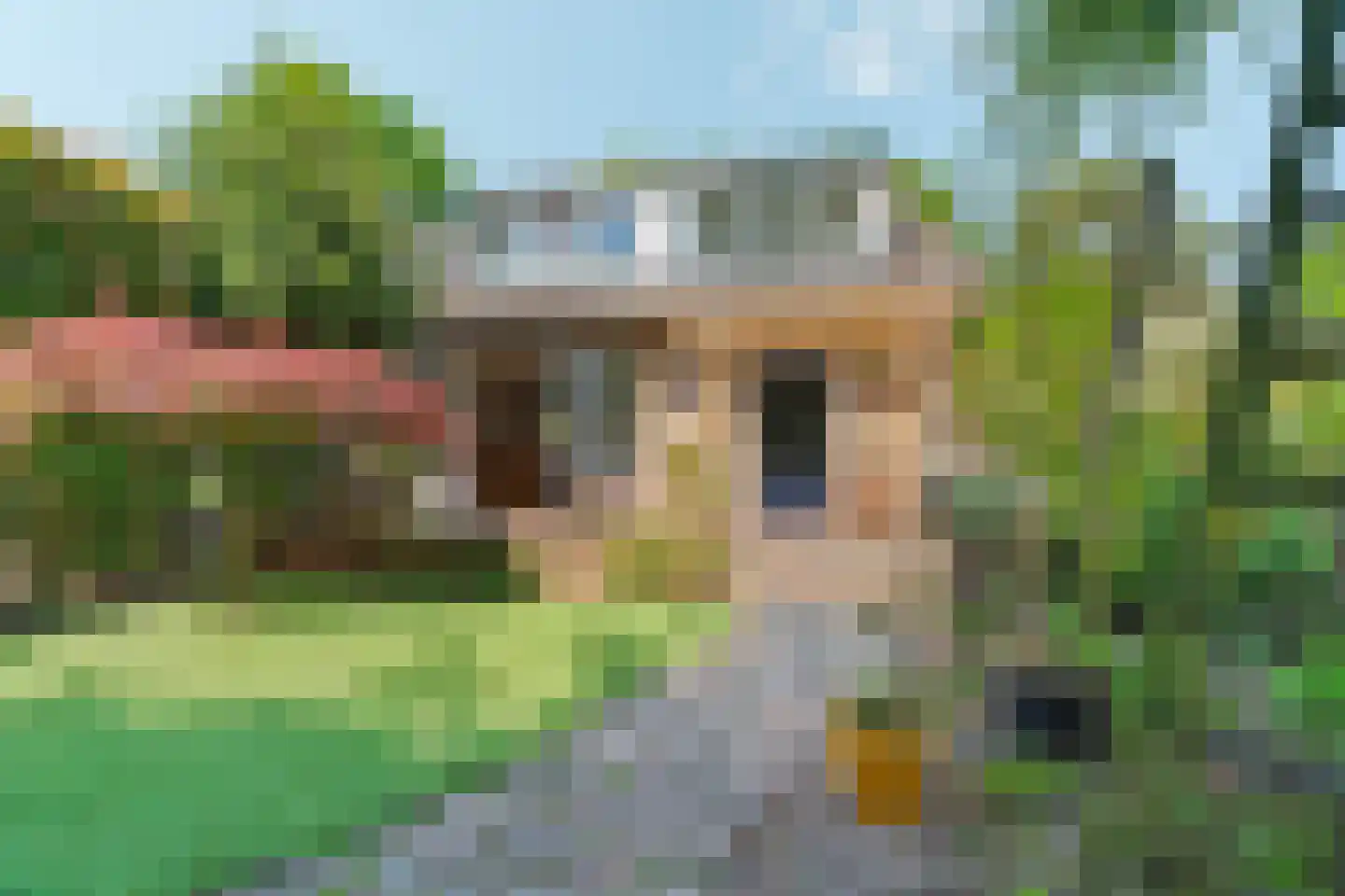 Johannes Vermeerstraat 6 Bergen L thumbnail 32