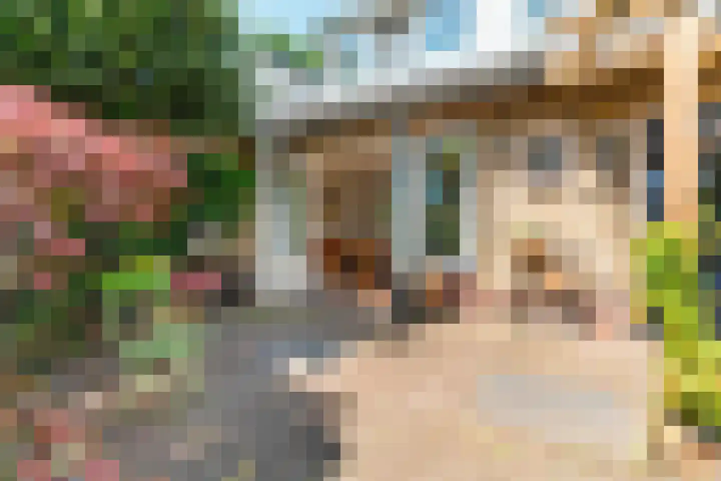 Johannes Vermeerstraat 6 Bergen L thumbnail 34