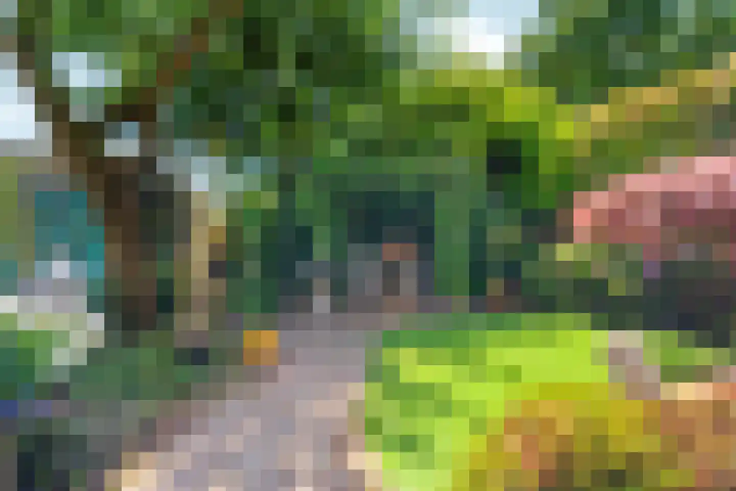 Johannes Vermeerstraat 6 Bergen L thumbnail 4