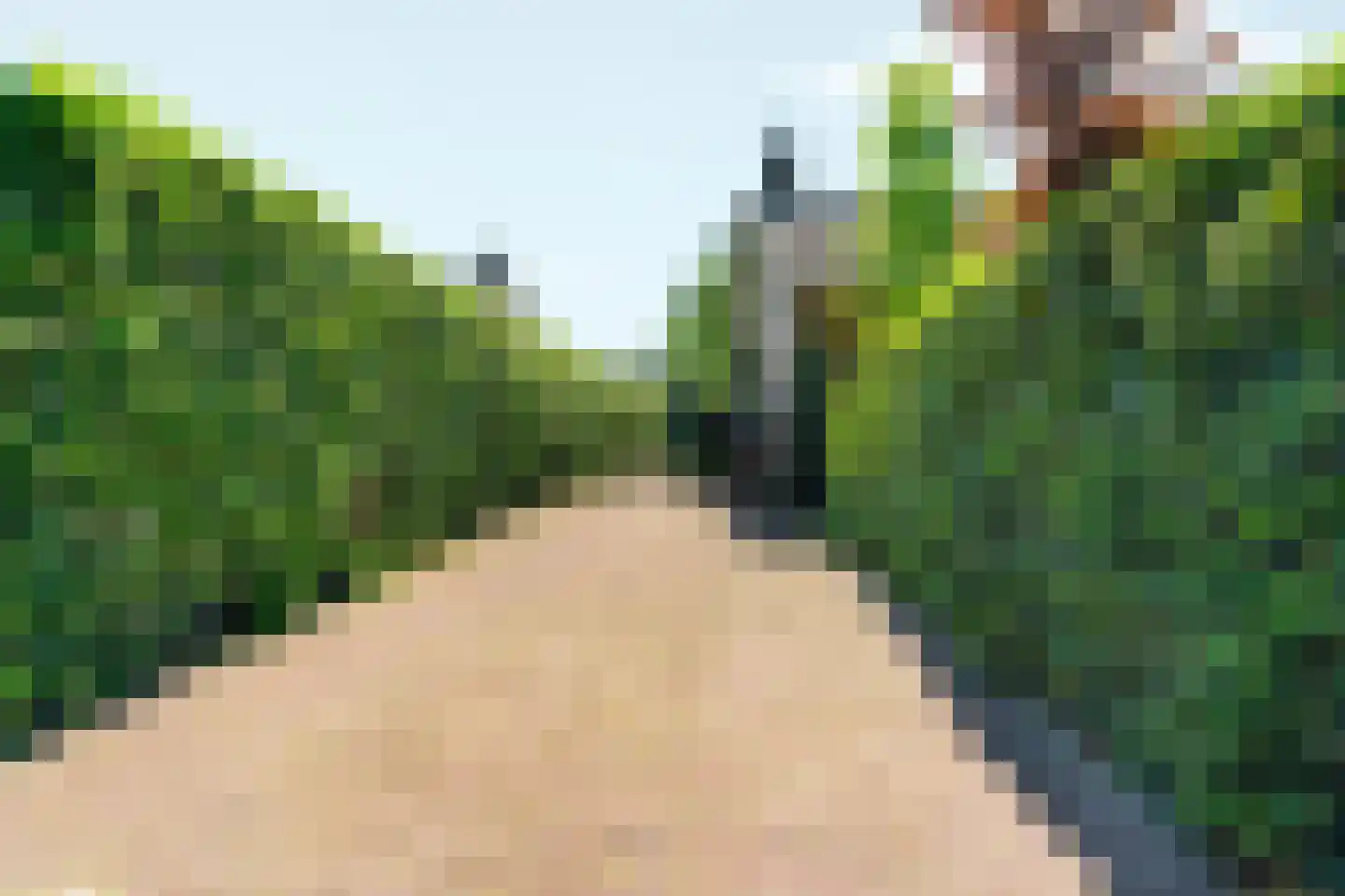 Johannes Vermeerstraat 6 Bergen L thumbnail 7