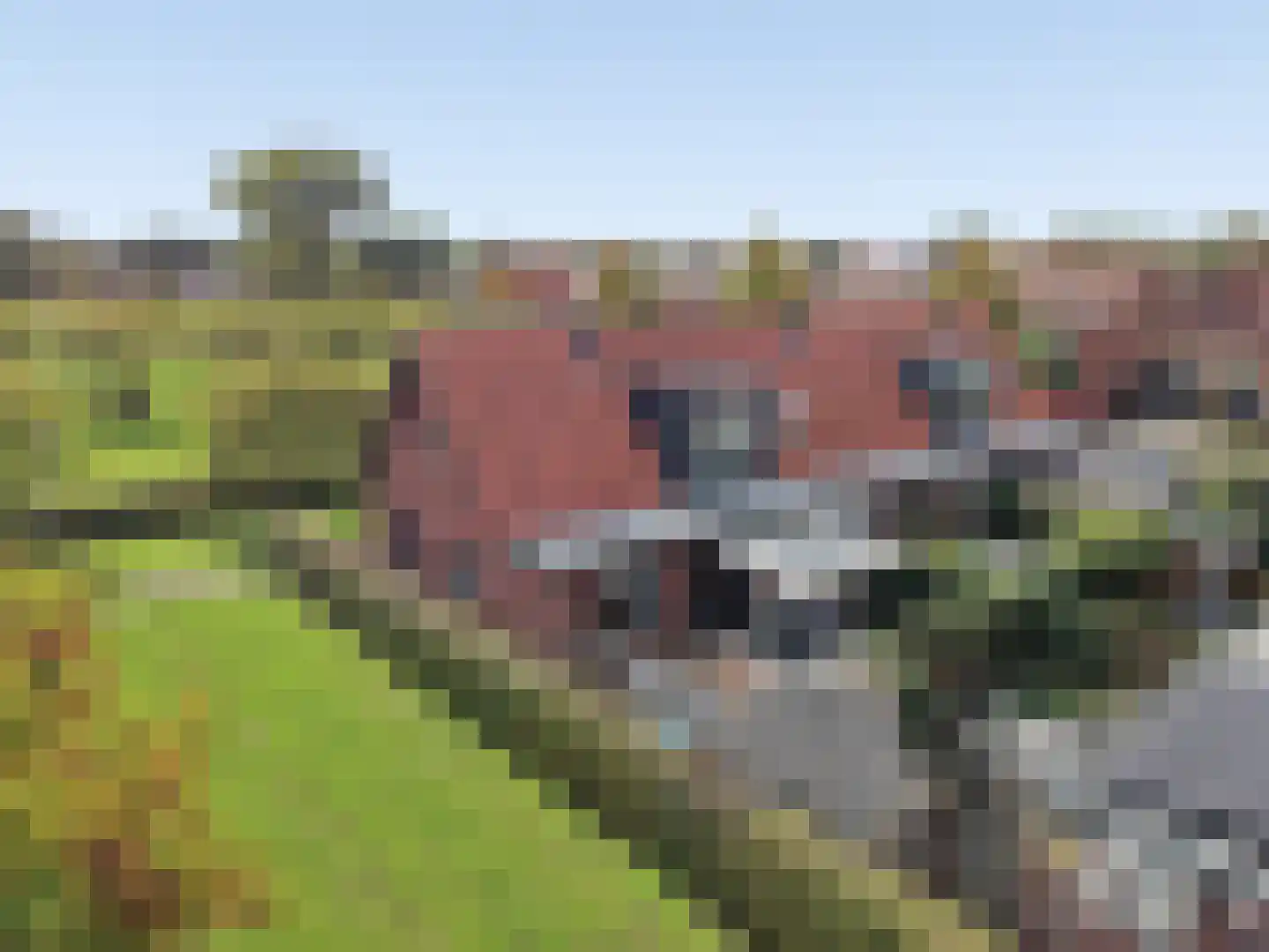 Johannes Vermeerstraat 6 Kesteren thumbnail 11
