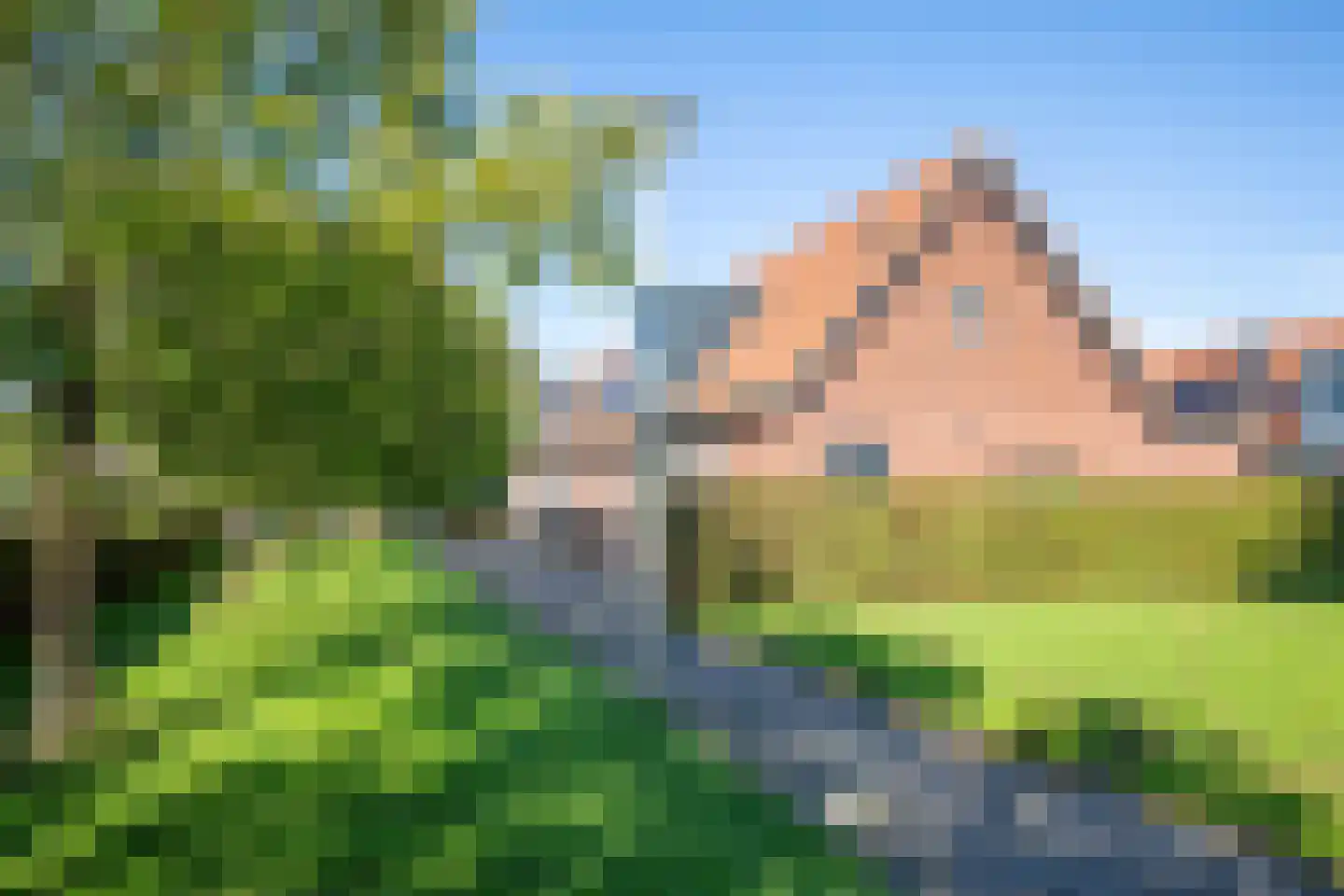 Johannes Vermeerstraat 6 Kesteren thumbnail 12