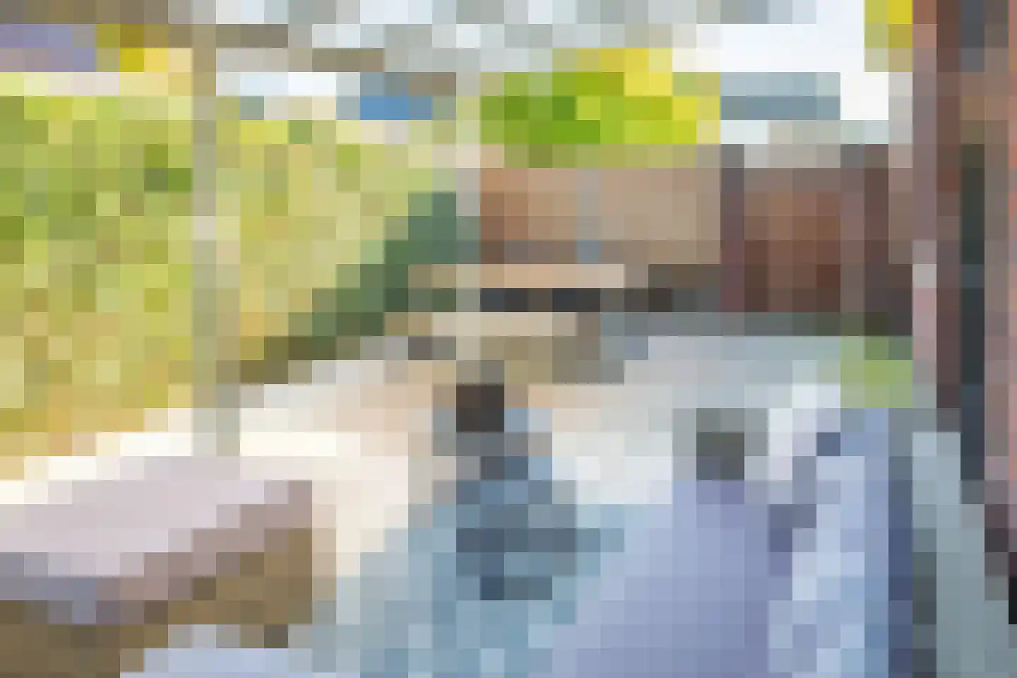 Johannes Vermeerstraat 6 Kesteren thumbnail 14