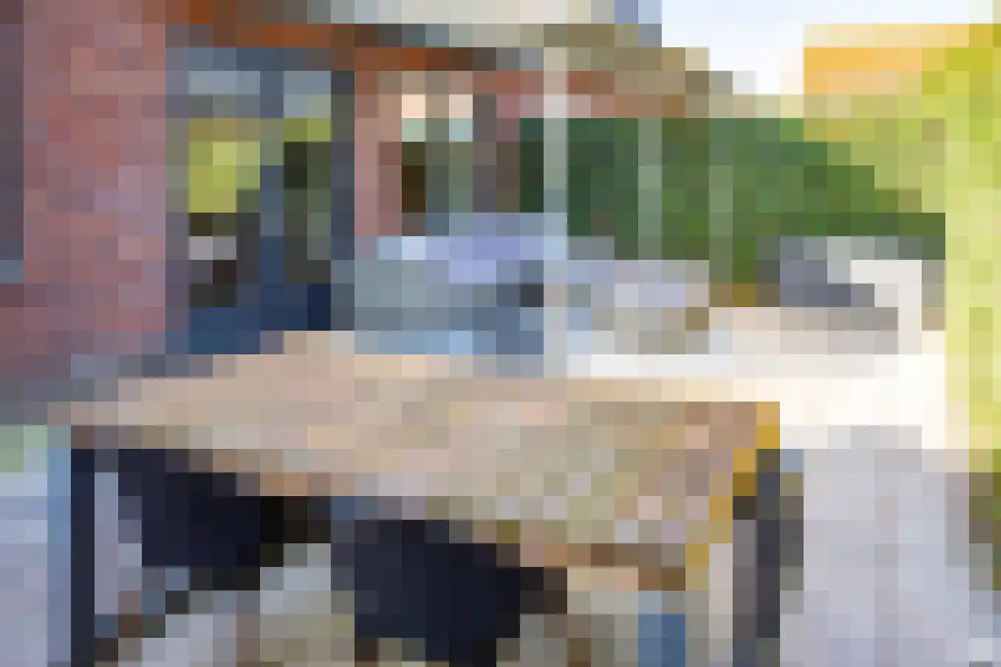 Johannes Vermeerstraat 6 Kesteren thumbnail 15