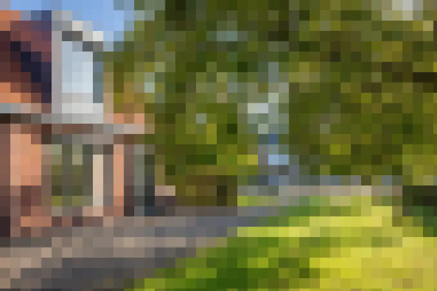 Johannes Vermeerstraat 6 Kesteren thumbnail 17