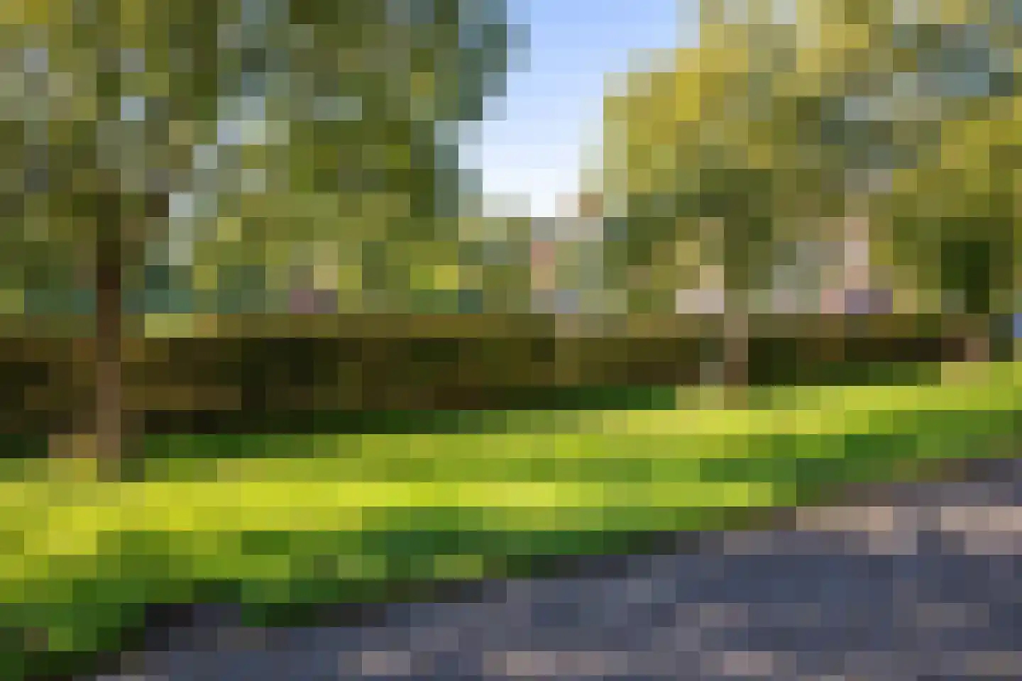 Johannes Vermeerstraat 6 Kesteren thumbnail 19