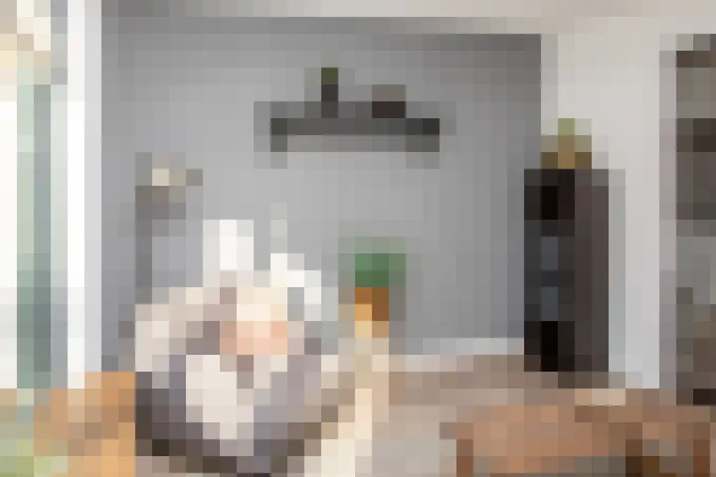 Johannes Vermeerstraat 6 Kesteren thumbnail 22