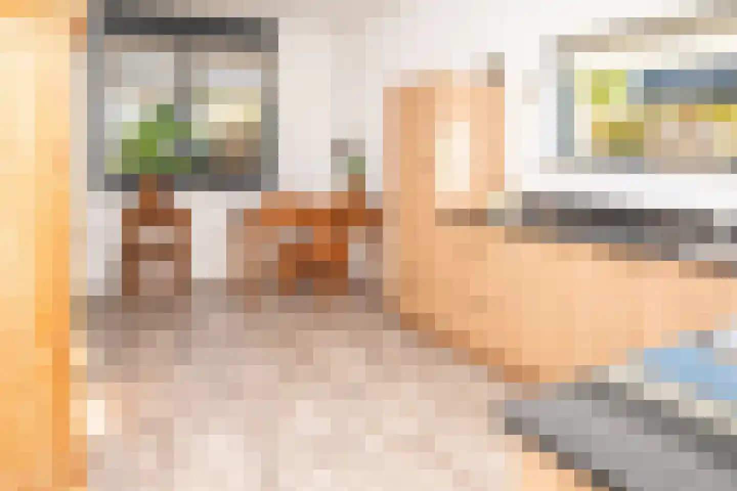 Johannes Vermeerstraat 6 Kesteren thumbnail 35