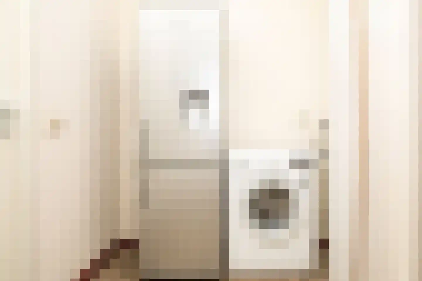 Johannes Vermeerstraat 6 Kesteren thumbnail 37
