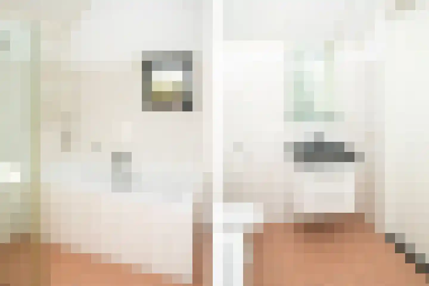 Johannes Vermeerstraat 6 Kesteren thumbnail 43