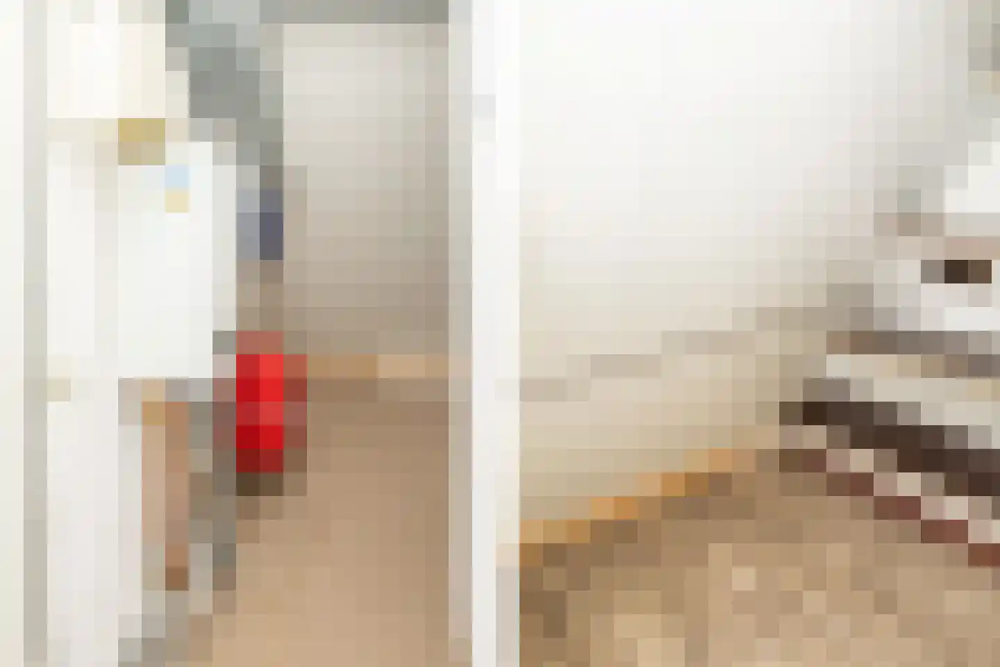 Johannes Vermeerstraat 6 Kesteren thumbnail 46