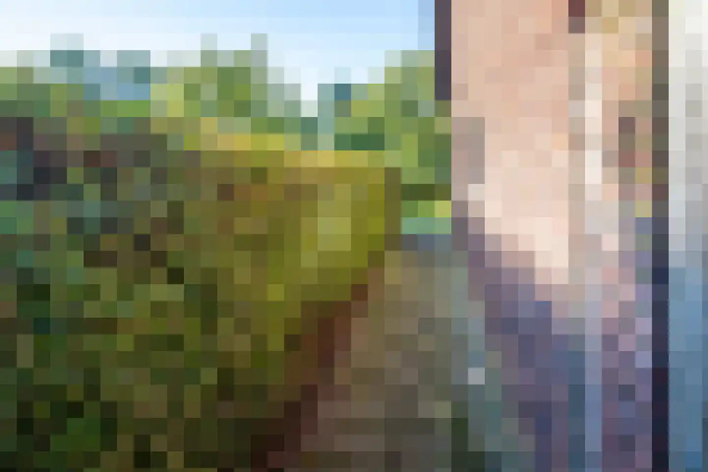Johannes Vermeerstraat 6 Kesteren thumbnail 47