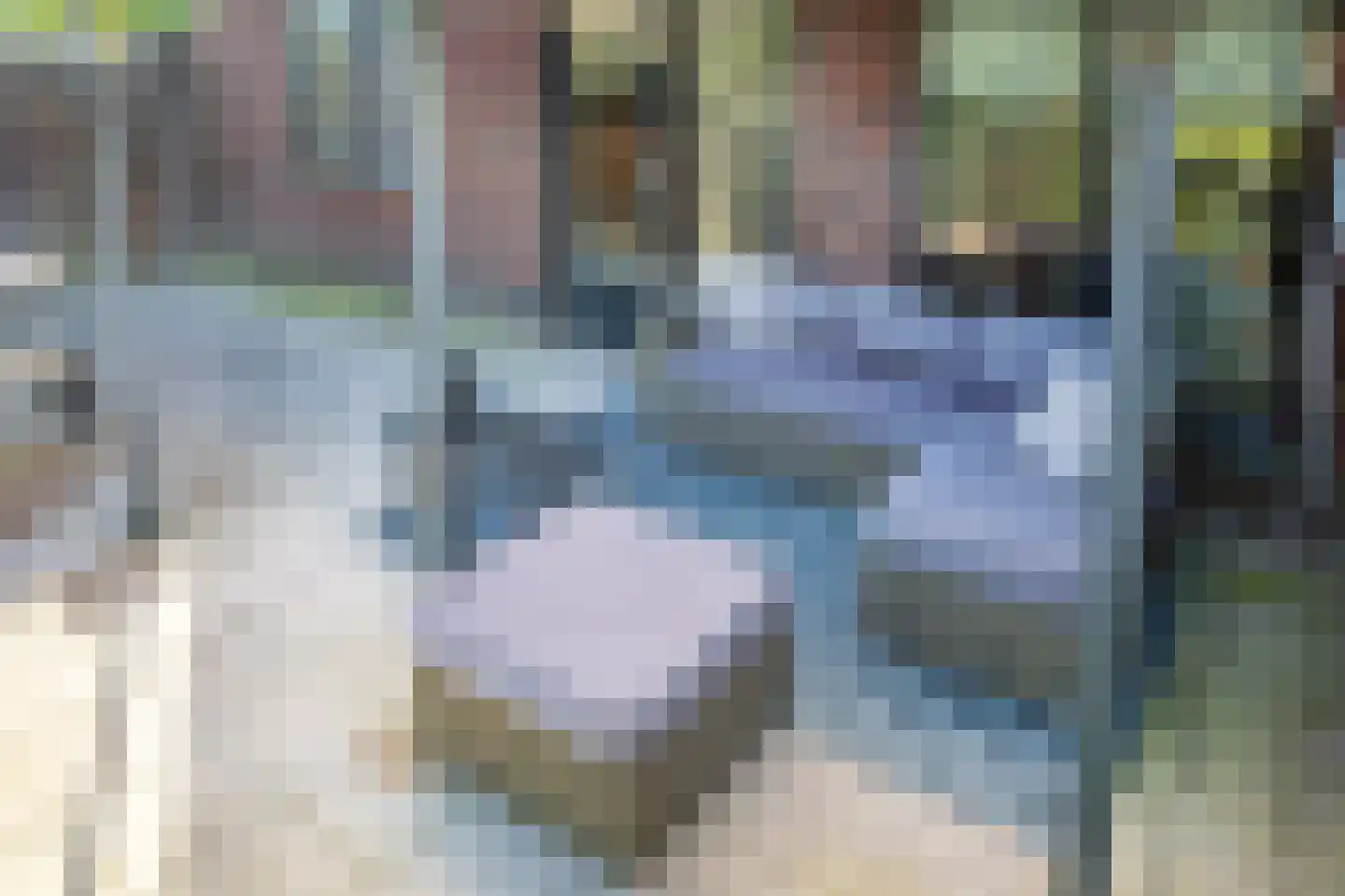 Johannes Vermeerstraat 6 Kesteren thumbnail 52