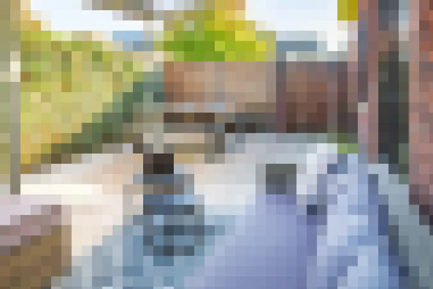 Johannes Vermeerstraat 6 Kesteren thumbnail 56