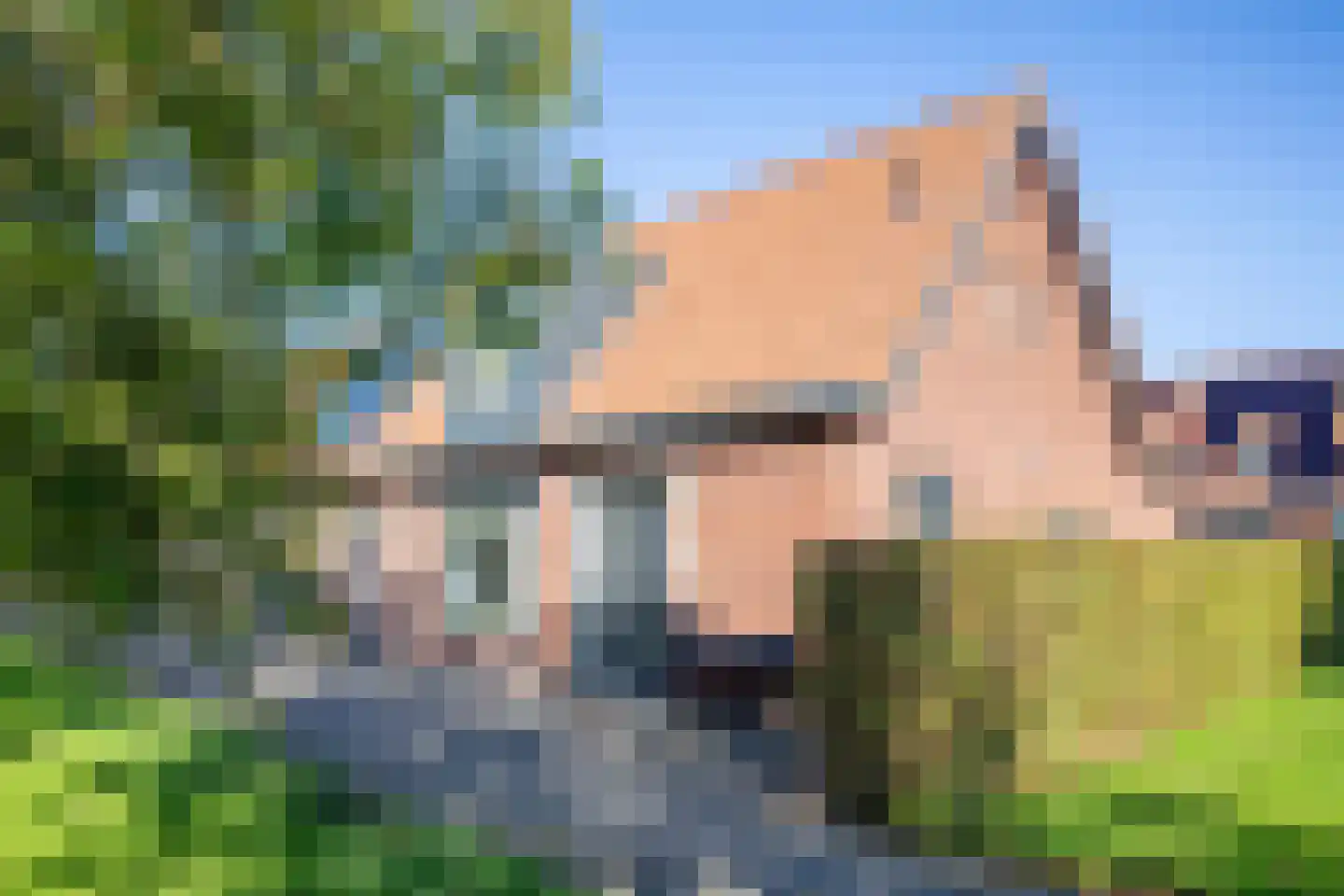 Johannes Vermeerstraat 6 Kesteren thumbnail 57