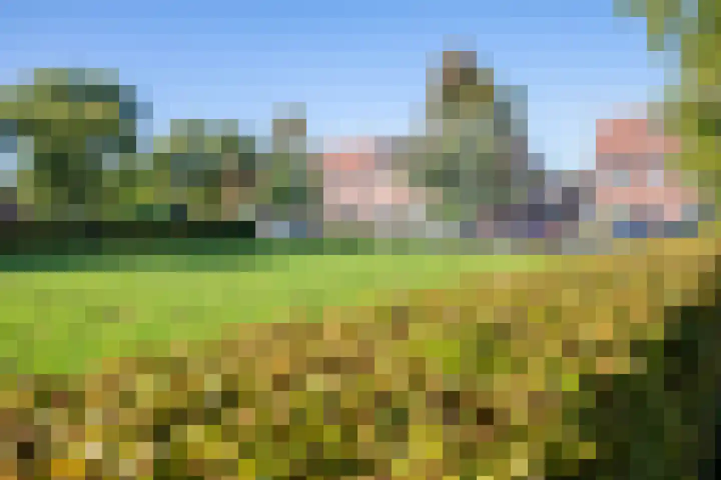 Johannes Vermeerstraat 6 Kesteren thumbnail 59